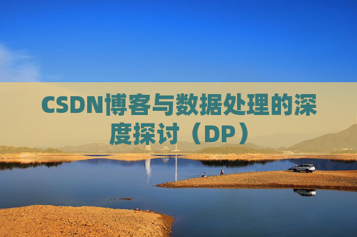 CSDN博客与数据处理的深度探讨（DP）