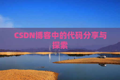 CSDN博客中的代码分享与探索